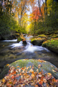 Little,River,Off,Of,Tremont,Rd.,In,Great,Smoky,Mountain